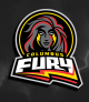 Columbus Fury vs. San Diego Mojo